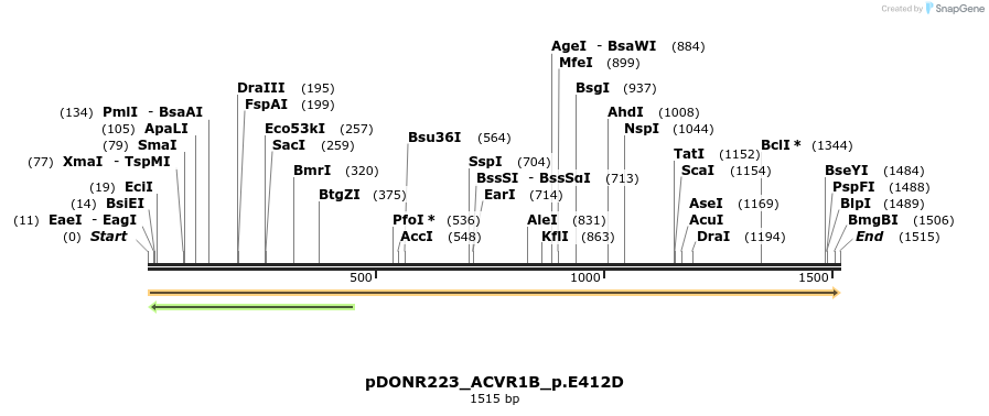 154766_map