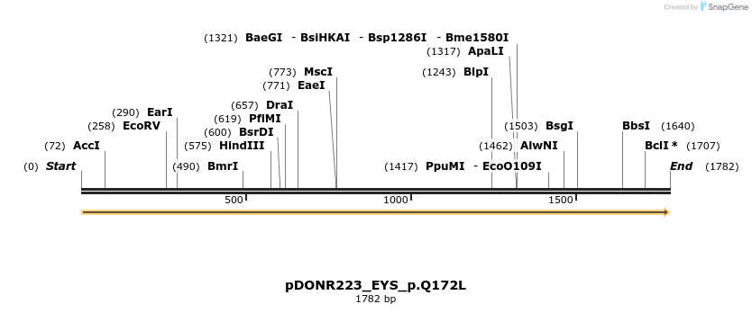 154767_map