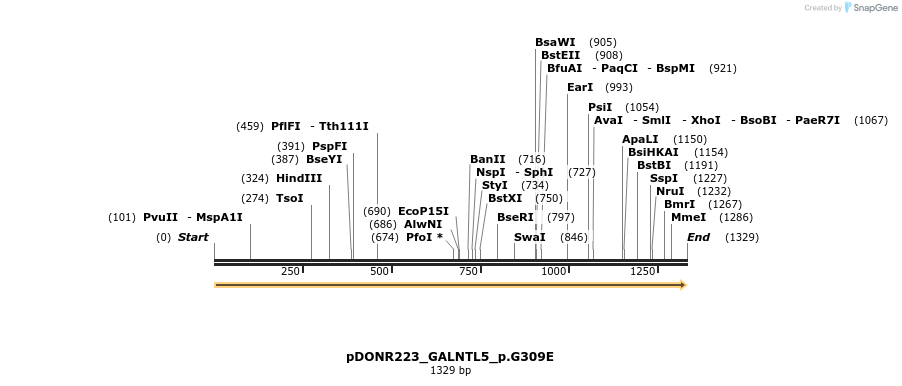 154768_map