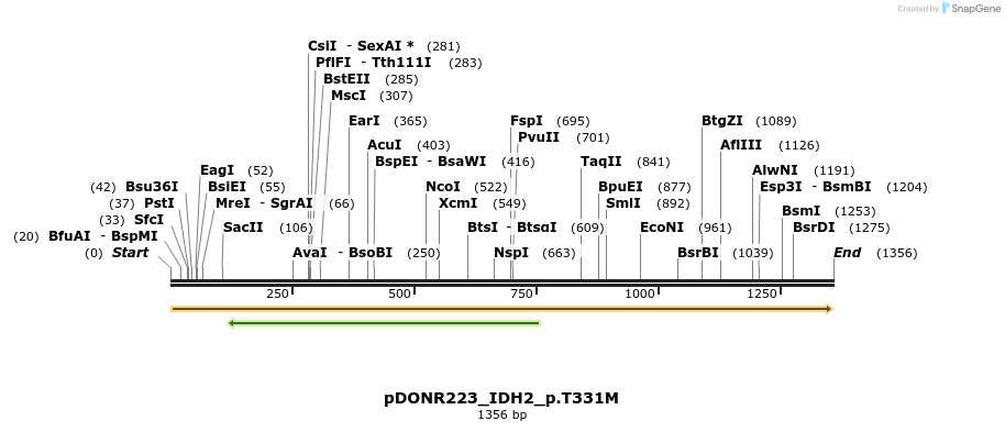 154769_map