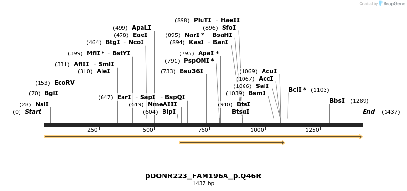 154770_map