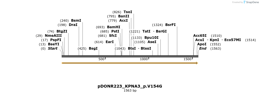 154776_map
