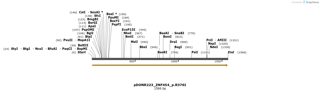 154781_map