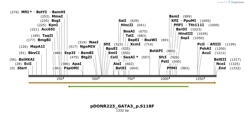 154784_map