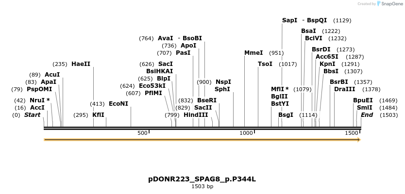154789_map
