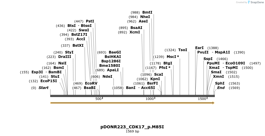 154790_map