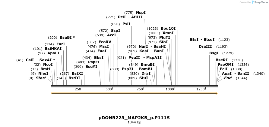 154796_map