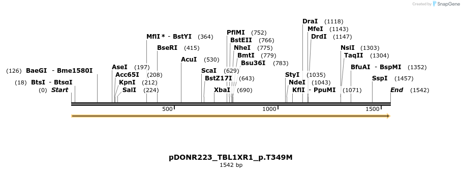 154801_map