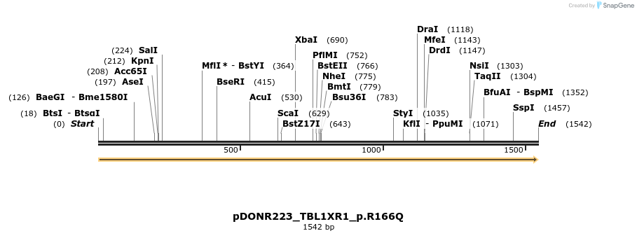 154802_map