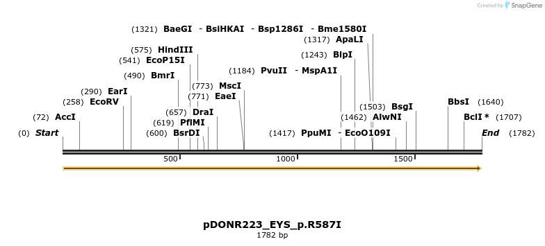 154804_map