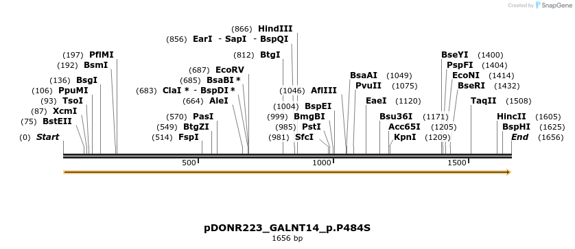 154809_map