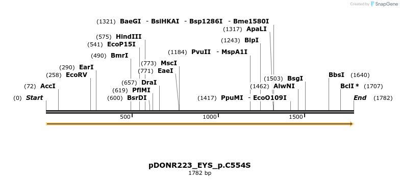 154810_map