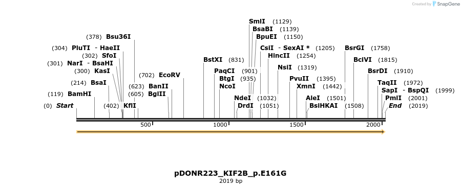 154817_map