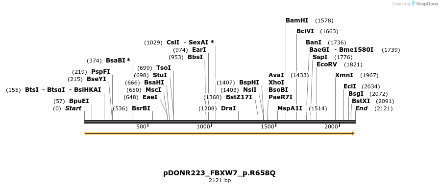 154821_map