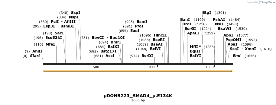 154822_map