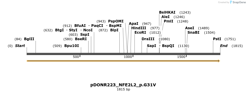 154837_map