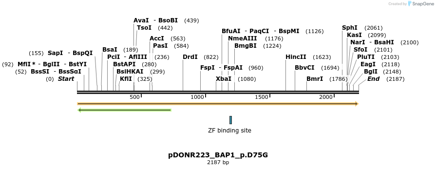 154845_map