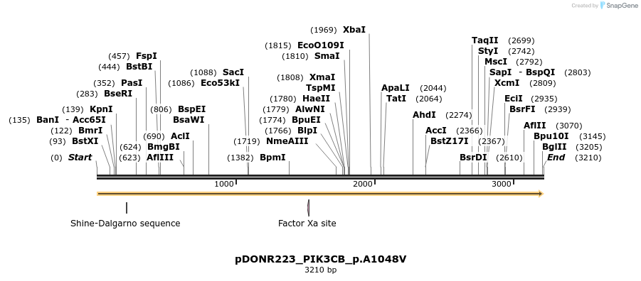 154852_map