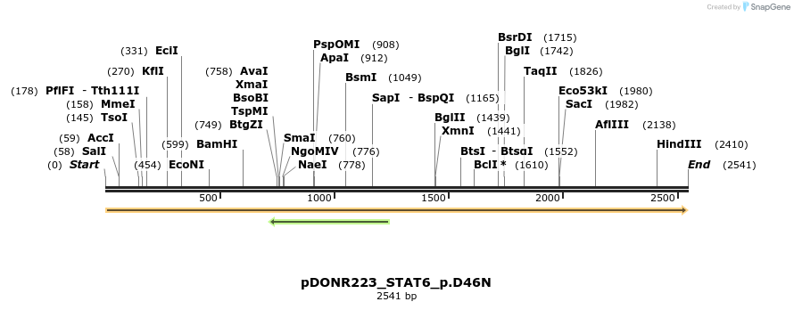 154856_map