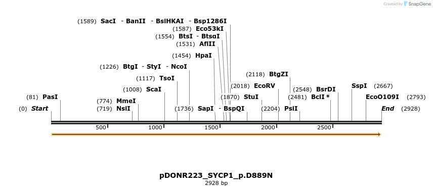 154857_map