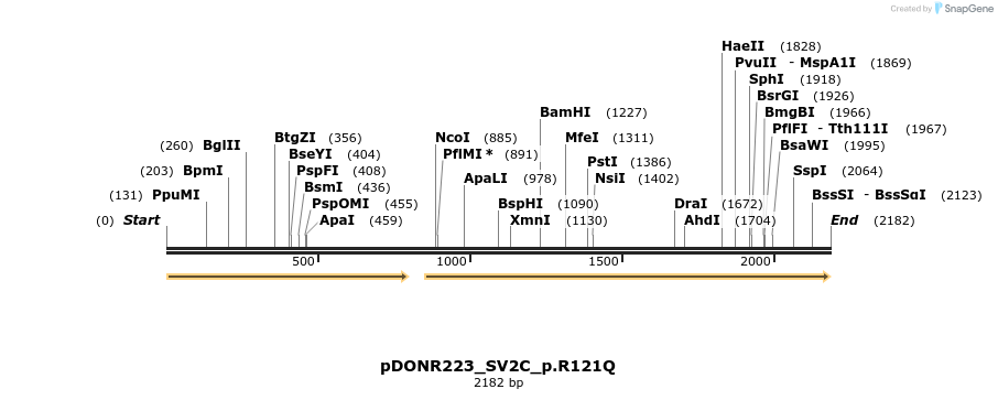 154862_map