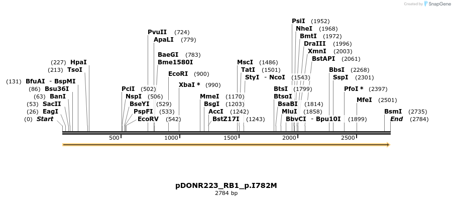 154866_map