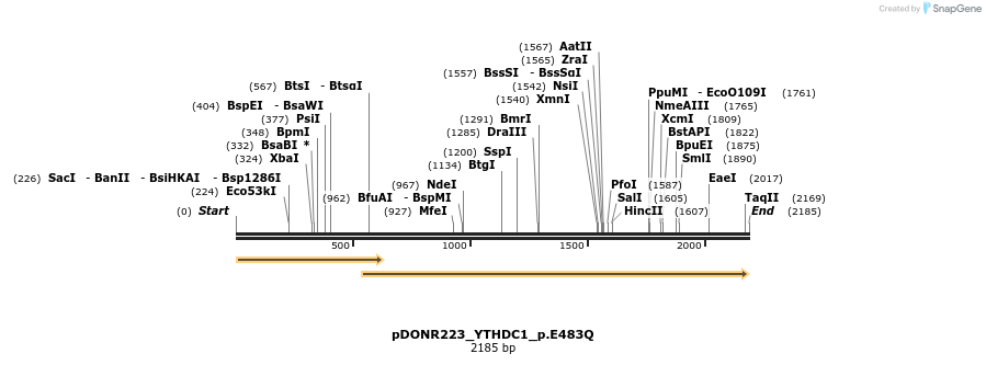154870_map