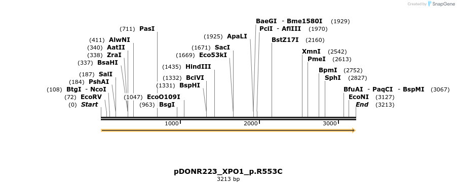 154874_map