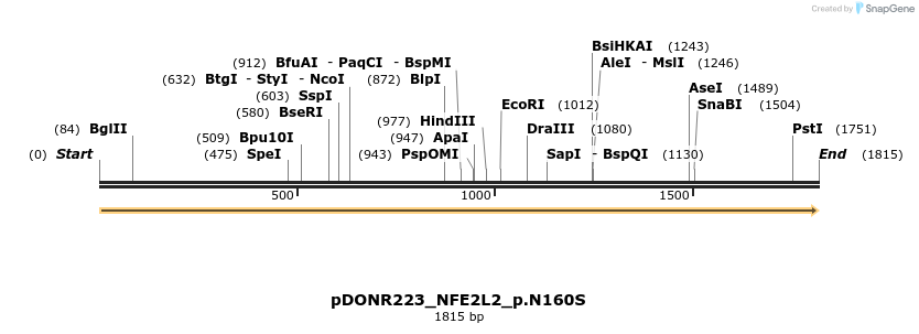 154877_map
