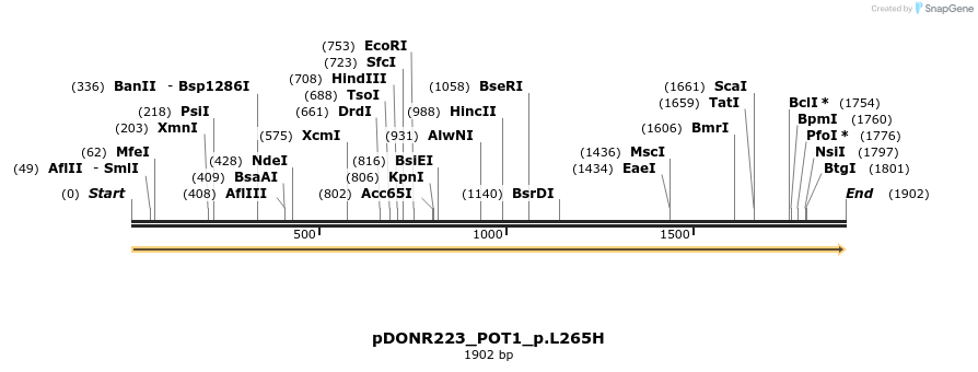 154878_map