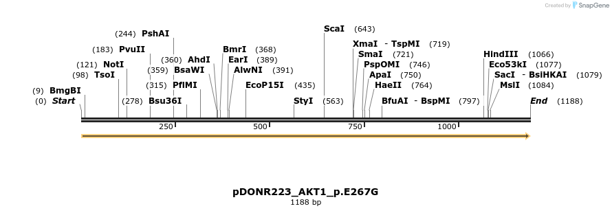 154880_map