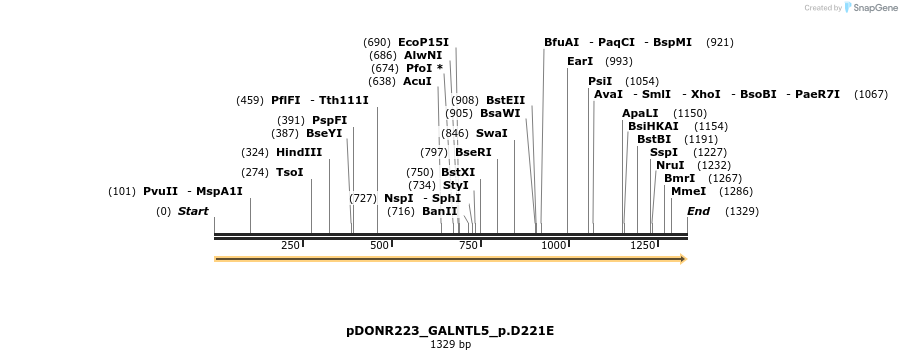 154882_map