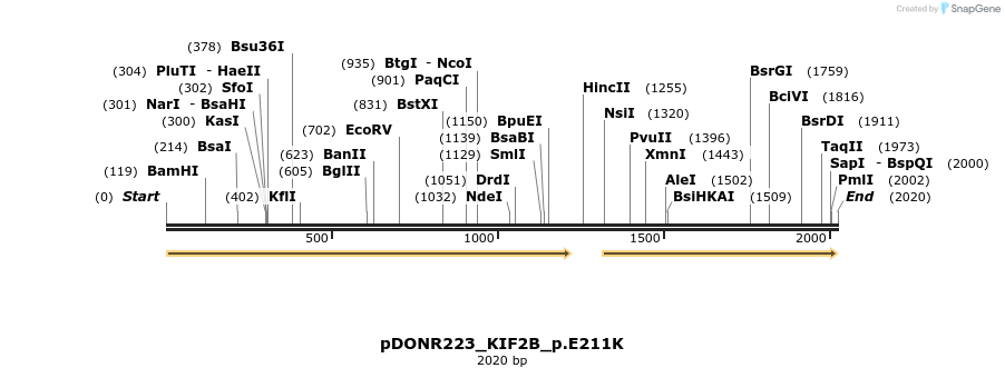 154883_map