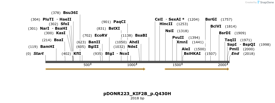 154884_map
