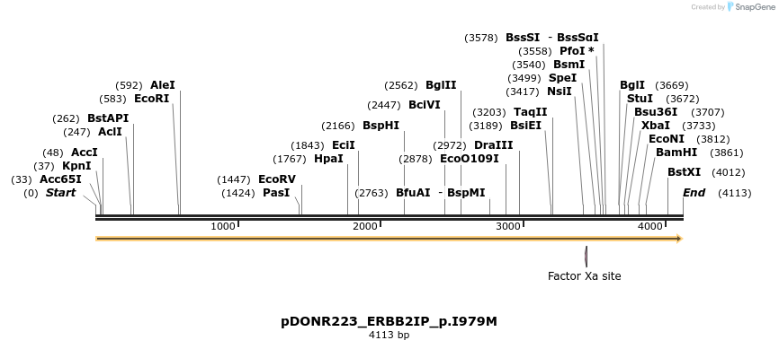 154887_map