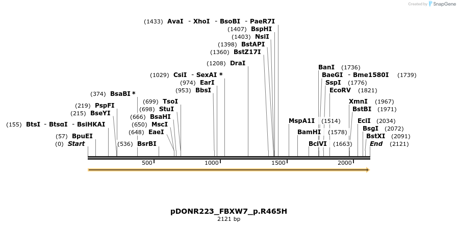 154890_map