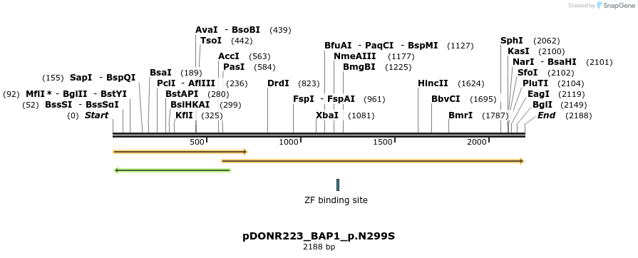 154891_map