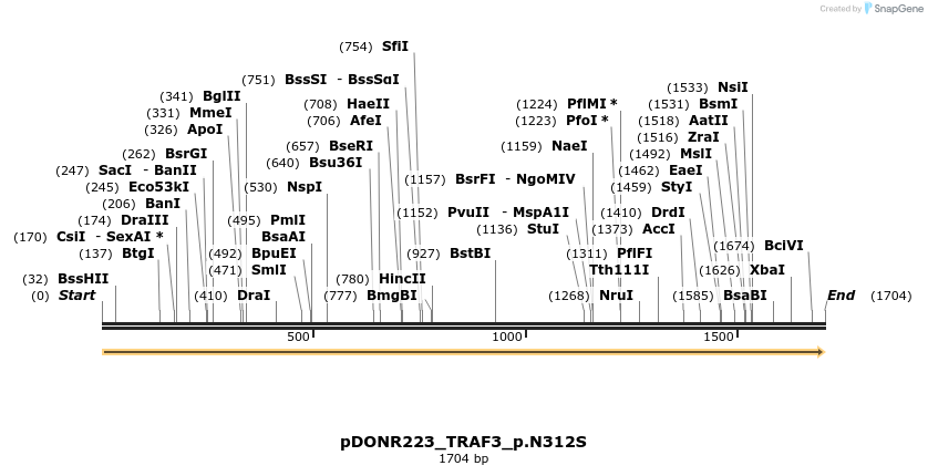154893_map
