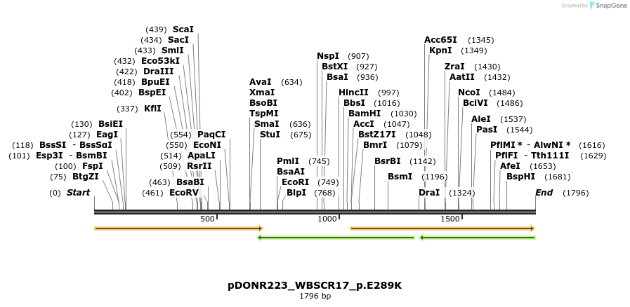 154894_map