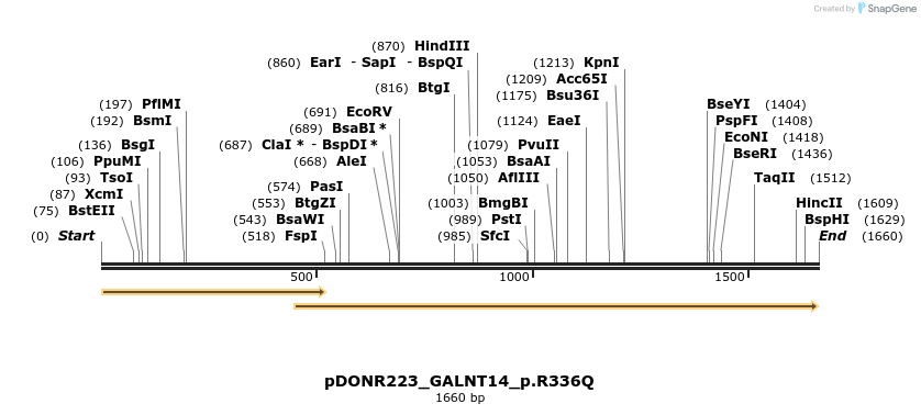 154896_map