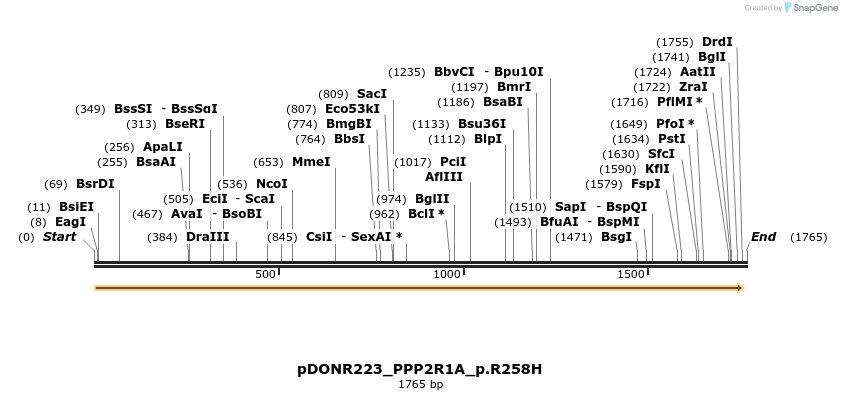 154900_map