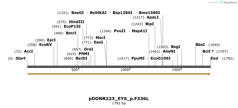 154901_map