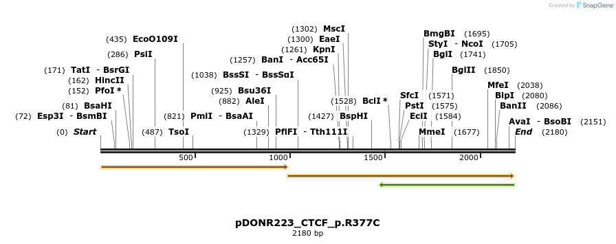 154903_map