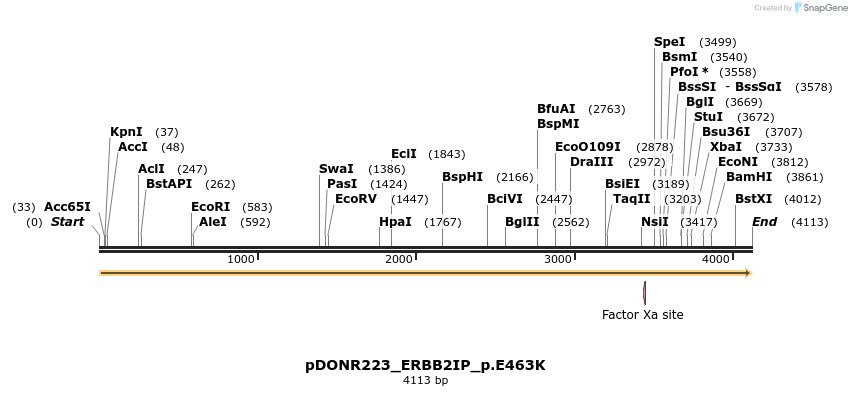 154906_map