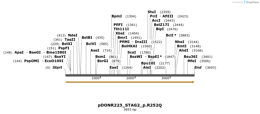 154908_map