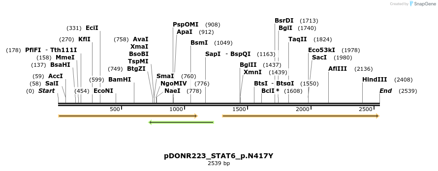 154910_map