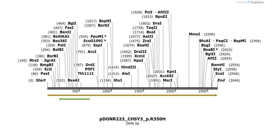 154913_map