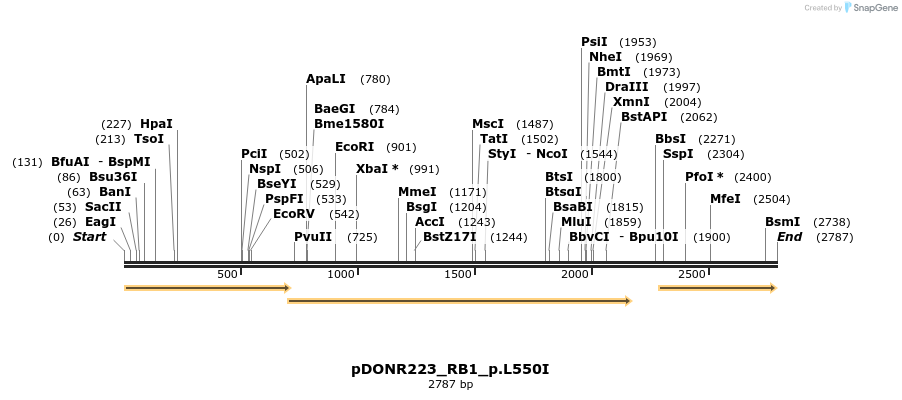154915_map