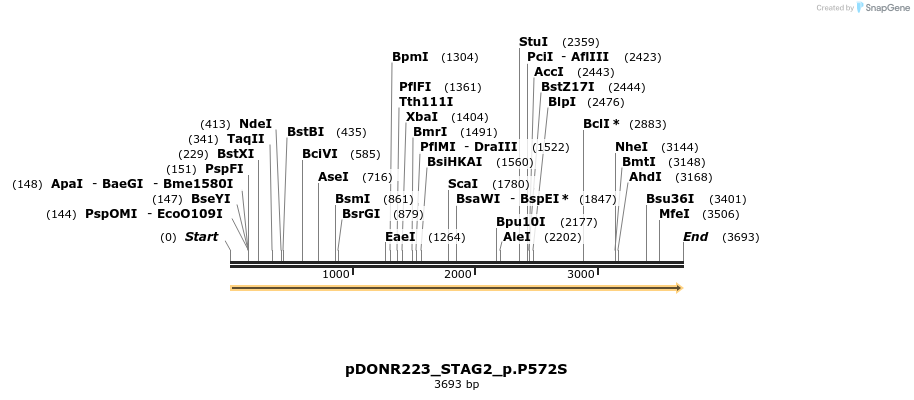 154917_map