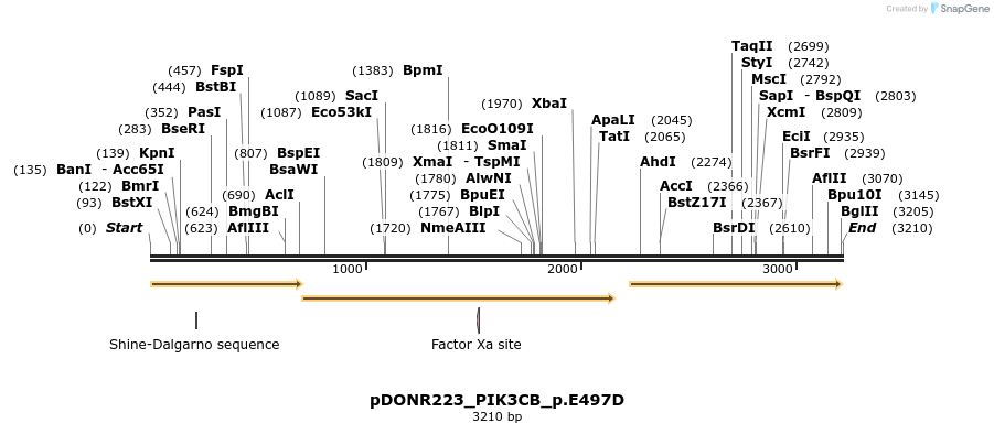 154918_map